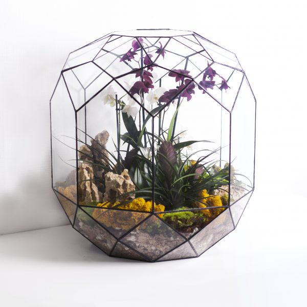 IMG_6902
