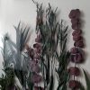 IMG_20190201_125718