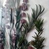 IMG_20190201_125726