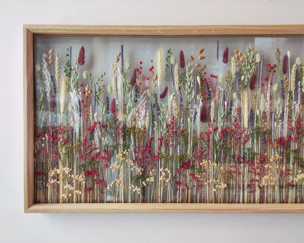 IMG_20230228_123855